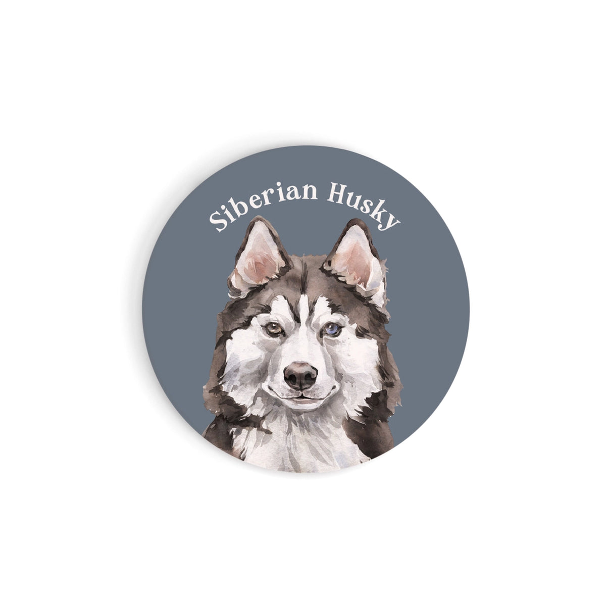 Siberian Husky Car Coaster