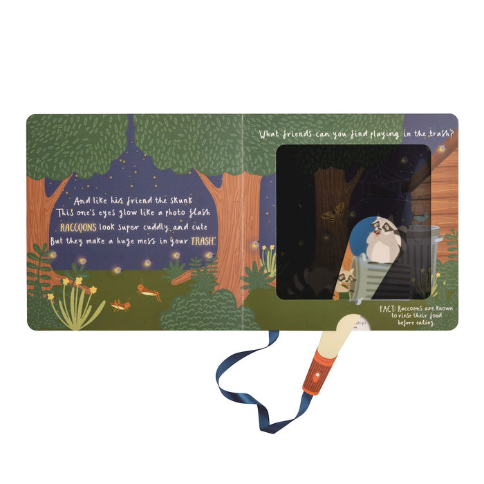 Flashlight Book