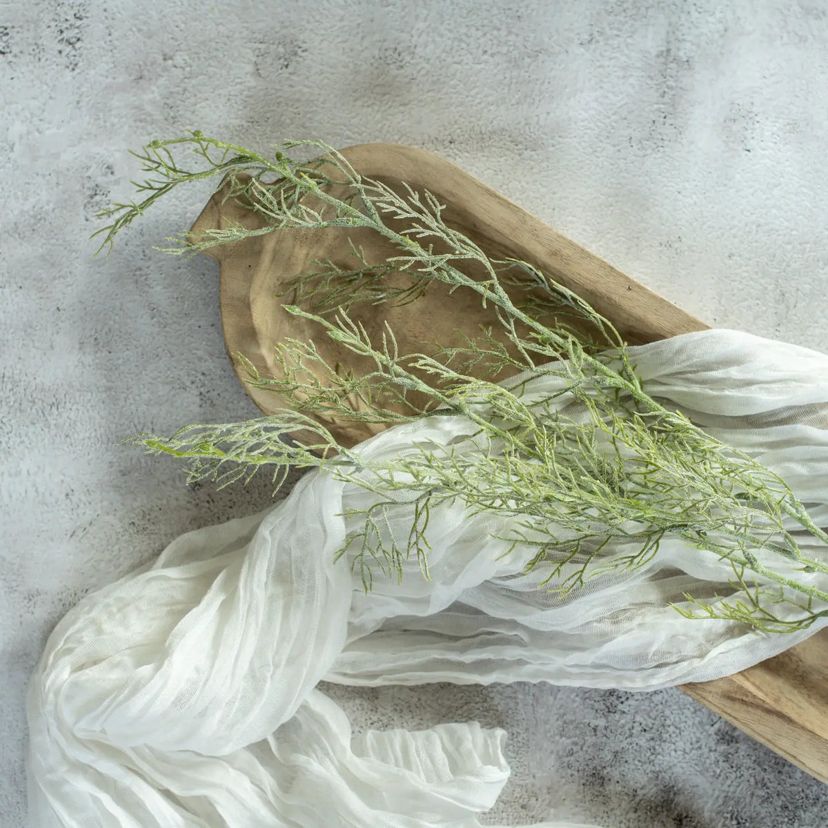 Wispy Green Asparagus Spray