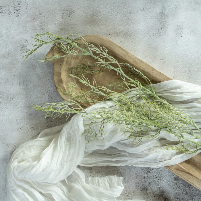 Wispy Green Asparagus Spray