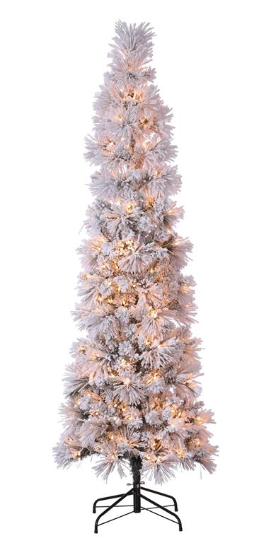 5' Iceland Fir Column Tree