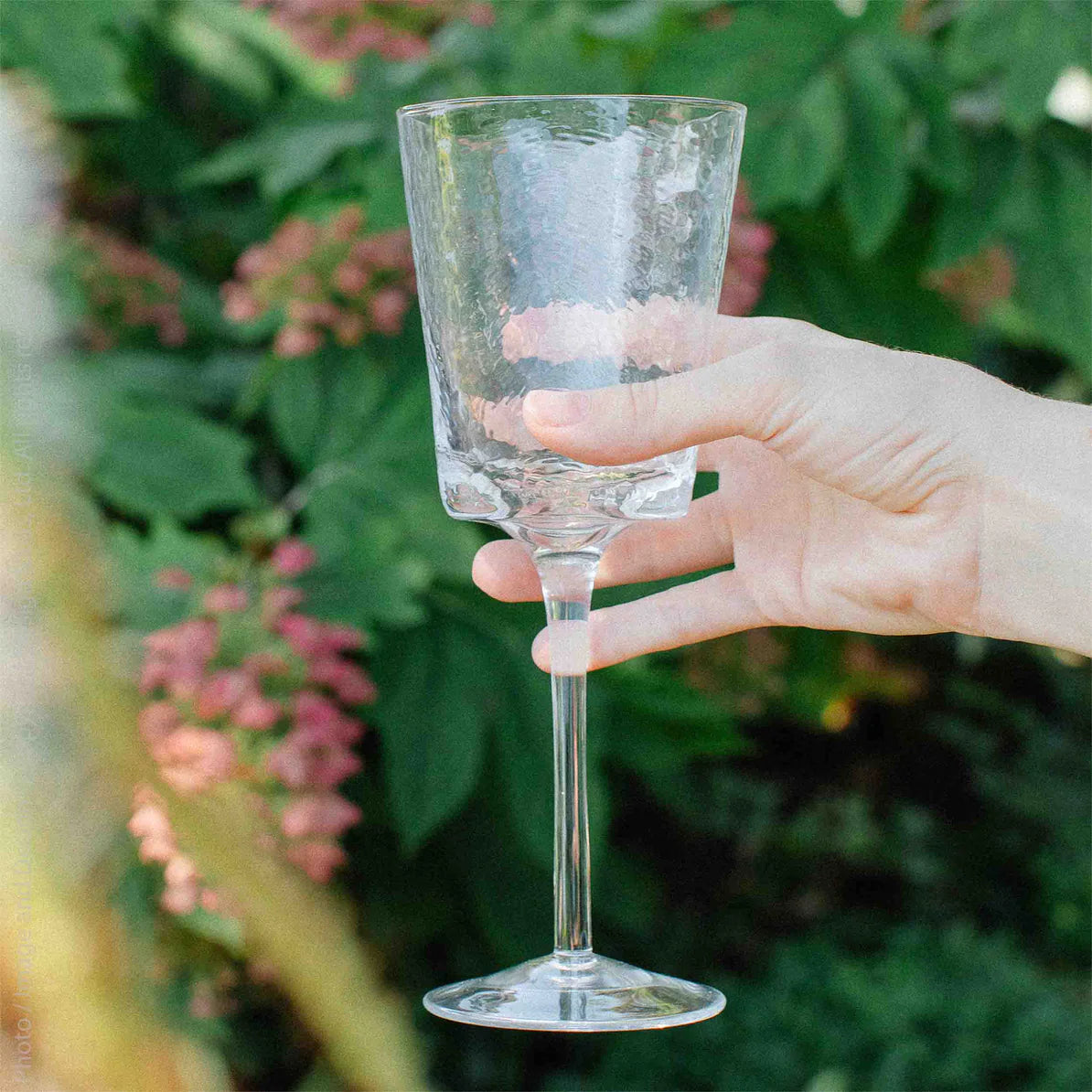 Serapha Wine Glass