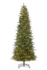 Castor Pine Tree