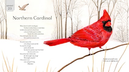 All Creation Waits Childrens Edition