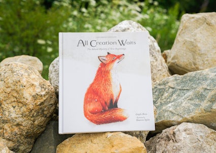 All Creation Waits Childrens Edition