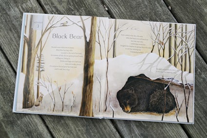 All Creation Waits Childrens Edition