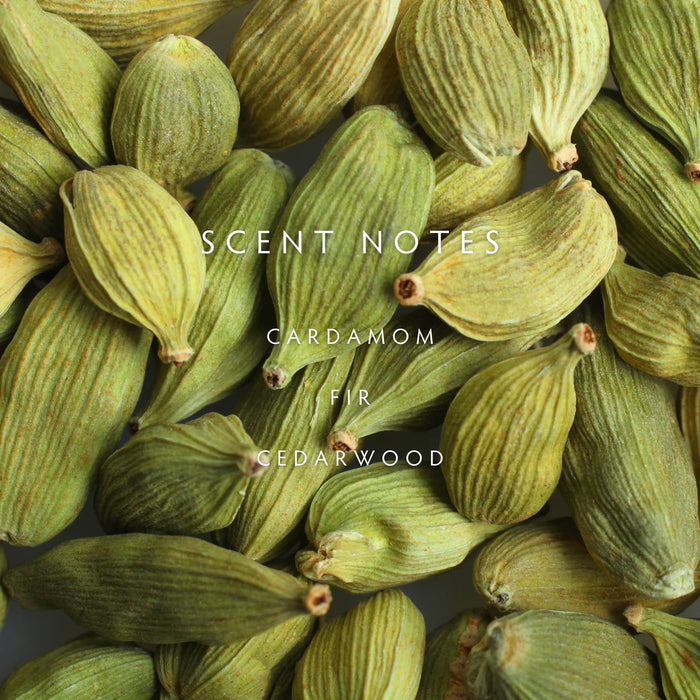 Cedar Cardamom Diffuser Kit