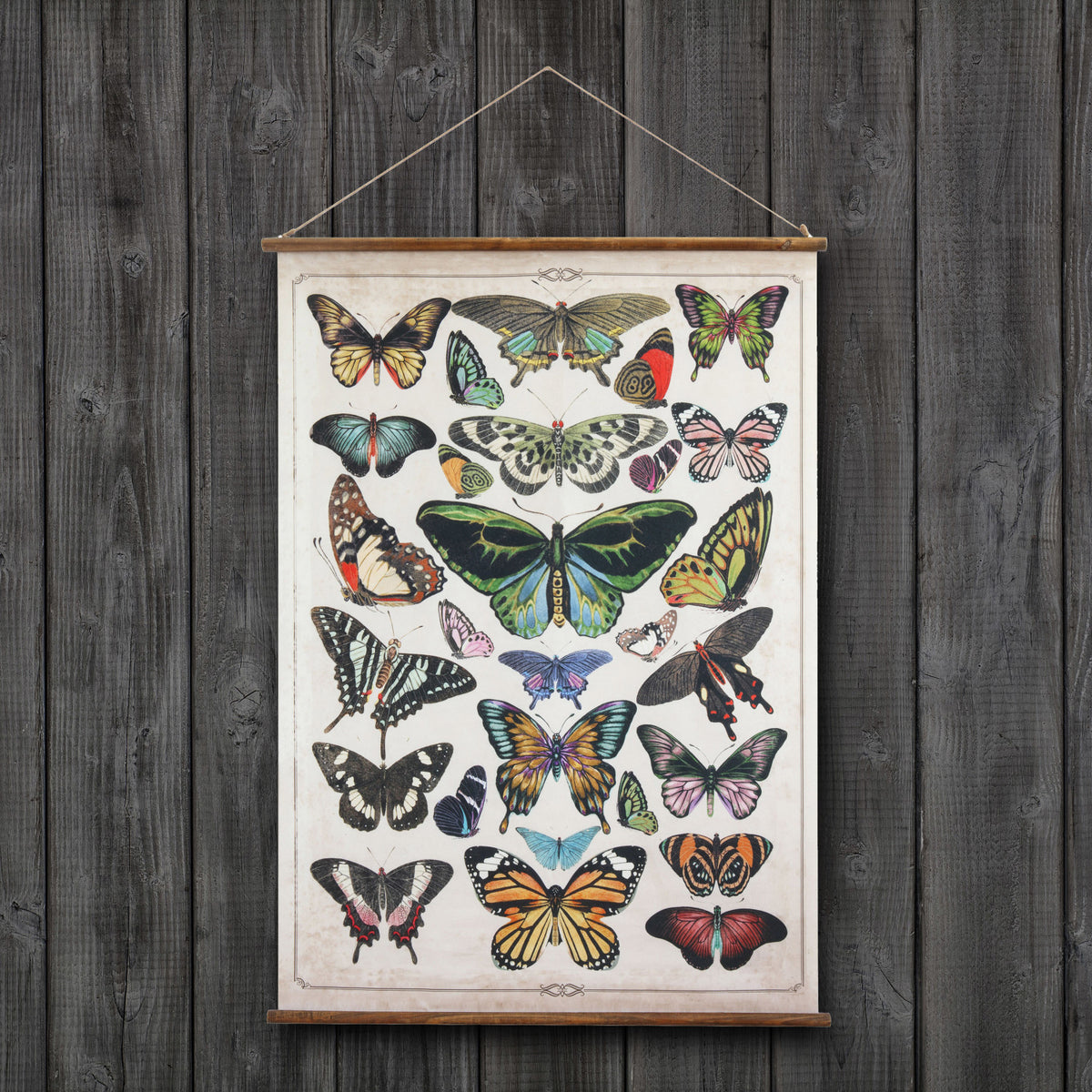 Butterflies Scroll Wall Decor