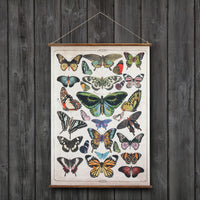 Butterflies Scroll Wall Decor