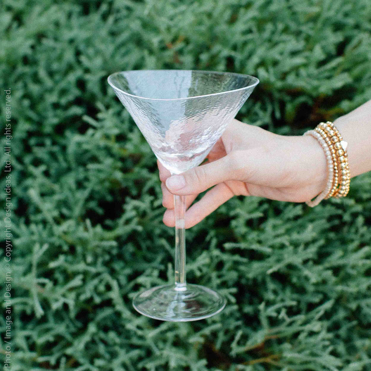 Serapha Martini Glass