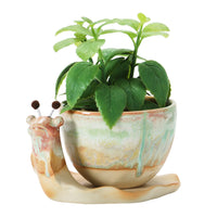 Stonewall Snail Planter