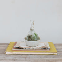 Rabbit Planter/Bowl