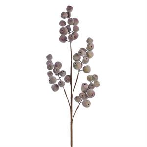 Crabapple Branch