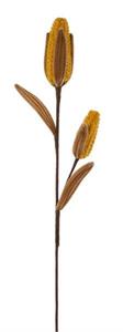 Corn Spray