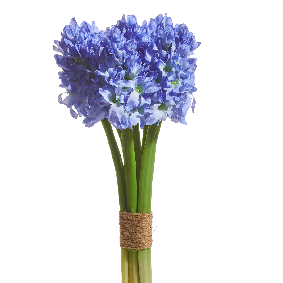 Purple Hyacinth Bundle