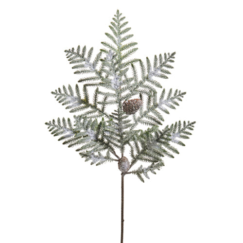 Iced Norfolk Pine Spray