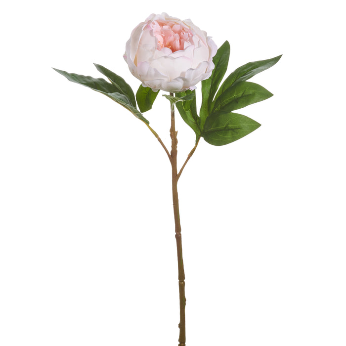 Real Touch Peony Stem