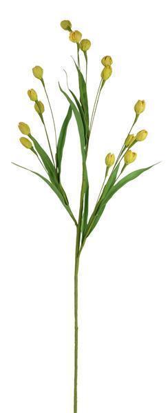 Flower Bud Grass Spray