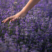 Lavender Rosemary Room Spray