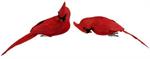 Red Feather Cardinal Clips
