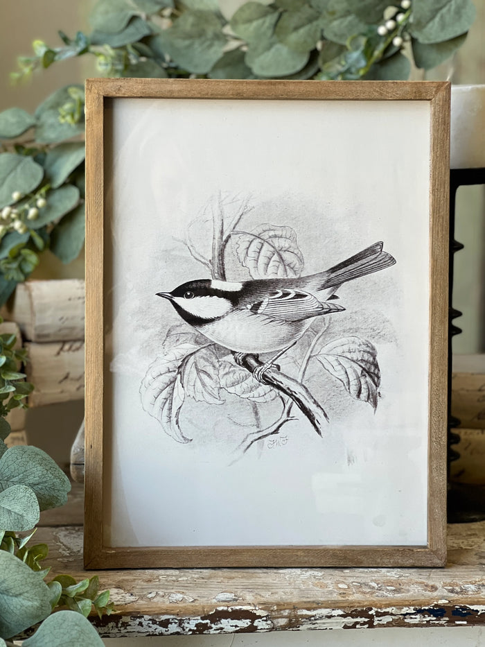 Songbird Silhouette