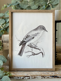 Songbird Silhouette