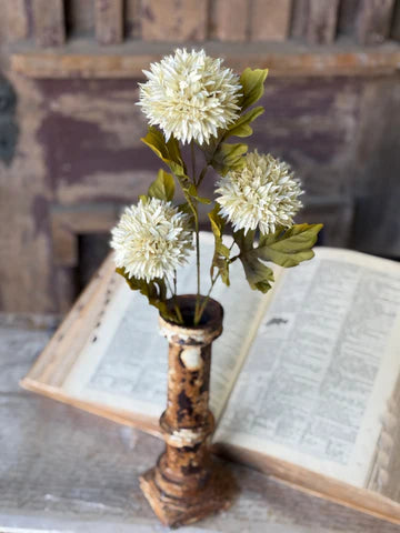 Jester Blooms