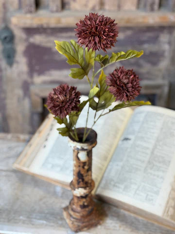 Jester Blooms