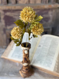 Jester Blooms