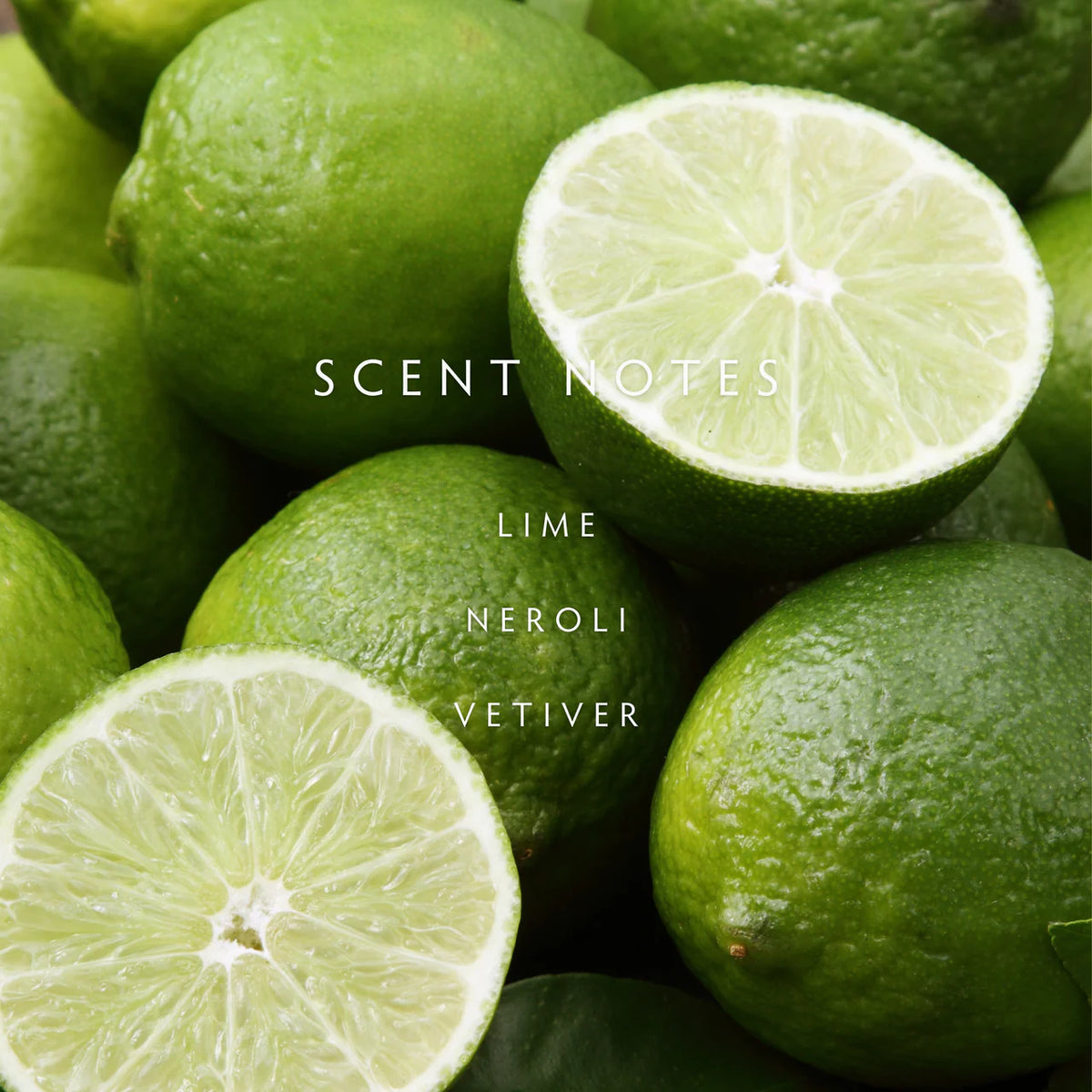 Persian Lime Diffuser Kit