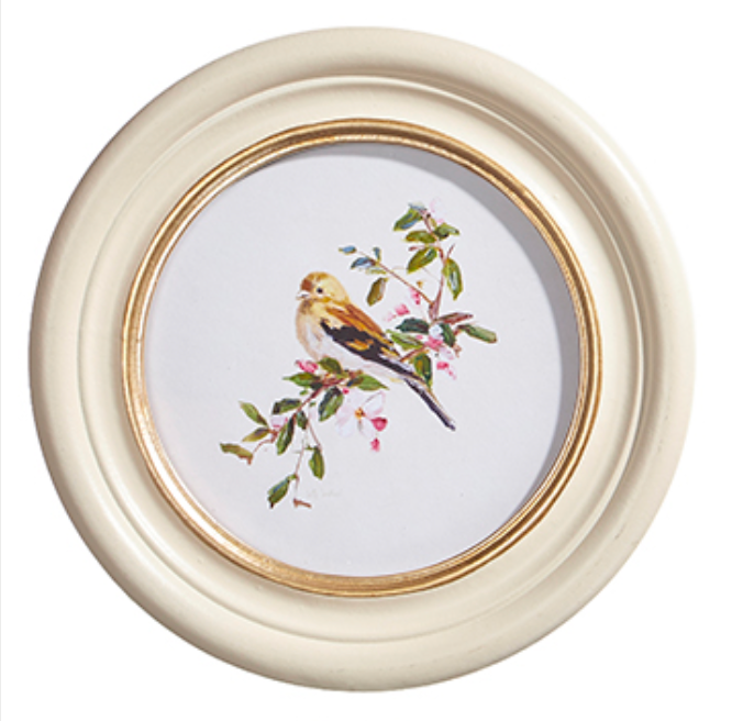 Bird Round Framed Print