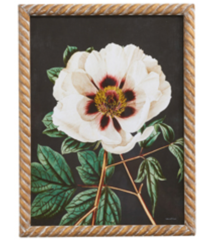 Floral Framed Wall Art