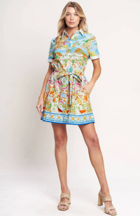 Printed Woven Mini Dress