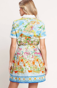 Printed Woven Mini Dress