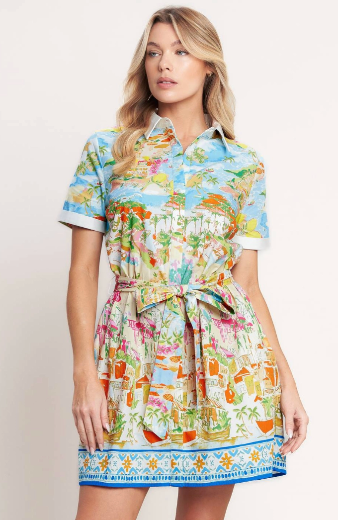 Printed Woven Mini Dress