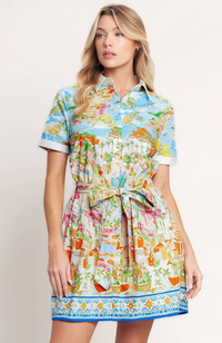 Printed Woven Mini Dress