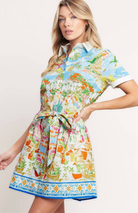 Printed Woven Mini Dress