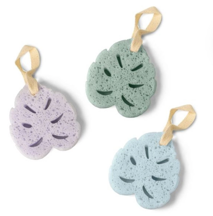 Super Sudsy Soap Sponge