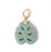 Super Sudsy Soap Sponge