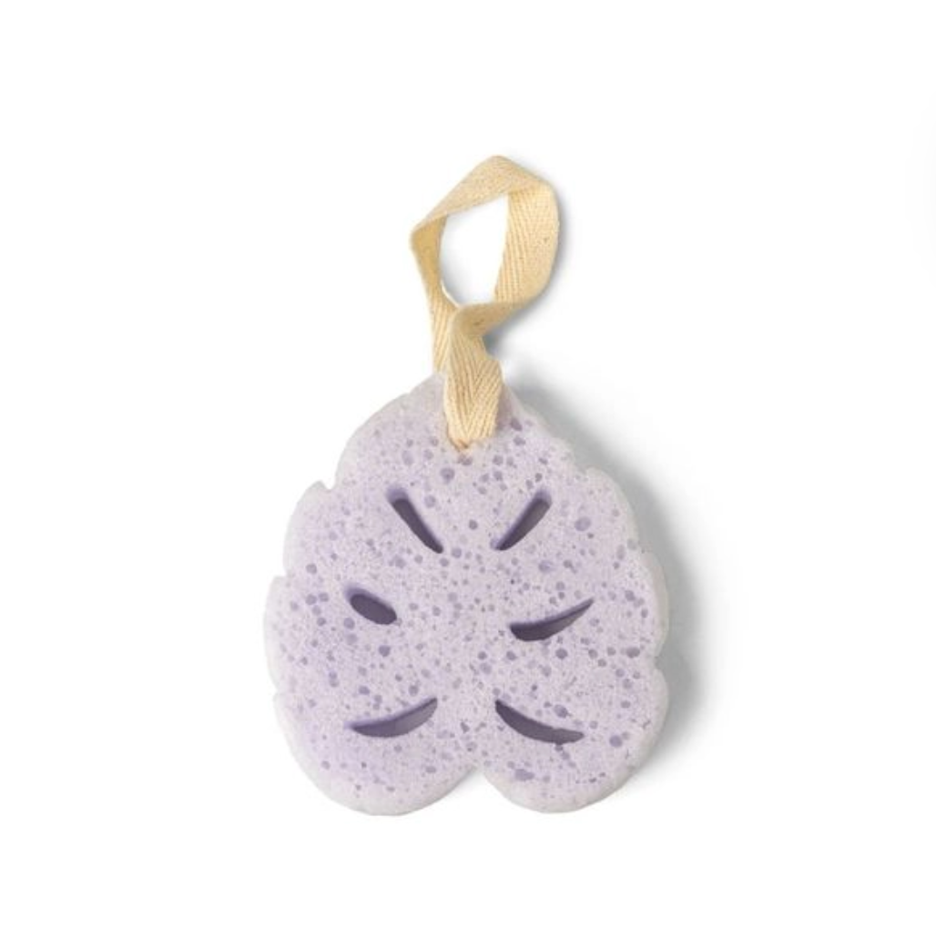 Super Sudsy Soap Sponge