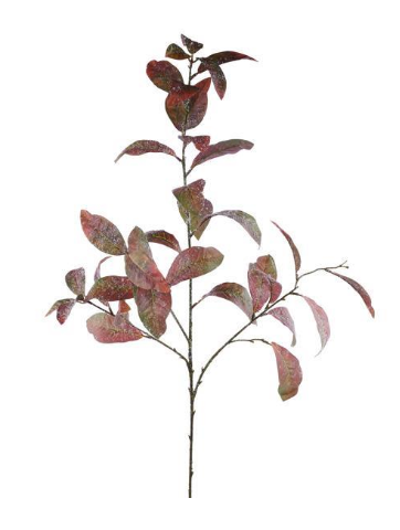 Green and Red Leaf Spray