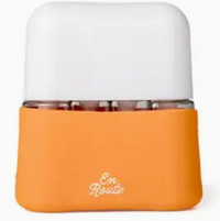 Bon Voyage Travel Bottles
