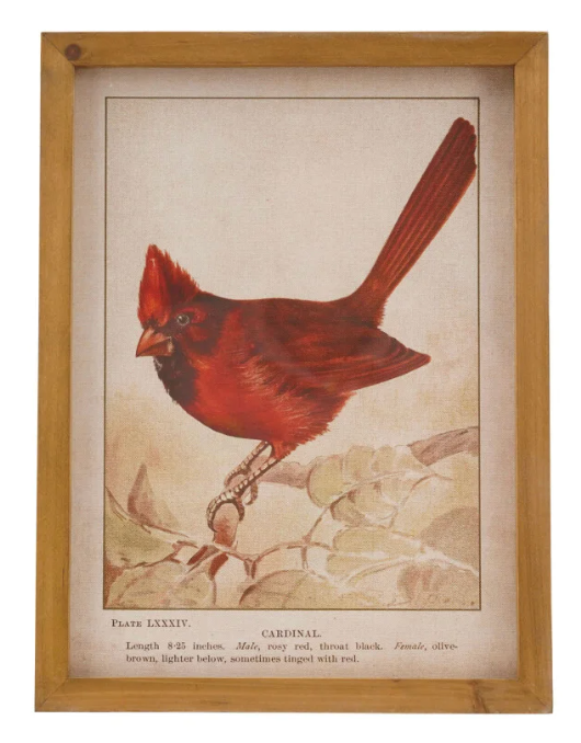 Cardinal Wall Decor