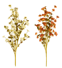 Dried Floral Spray