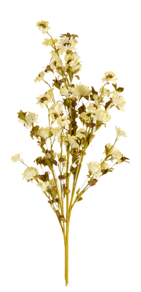 Dried Floral Spray