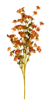 Dried Floral Spray