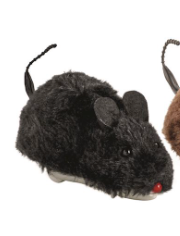 Wind-Up Rat Racers