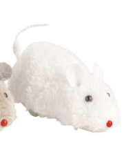 Wind-Up Rat Racers