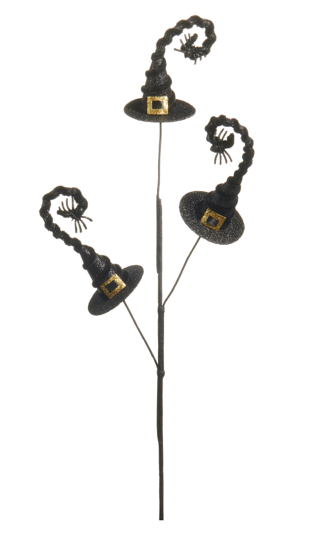 Witch Hat Spray
