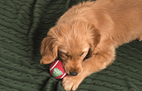 Christmas Pet Tennis Balls